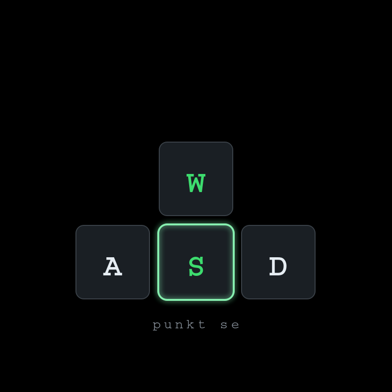 wasd image